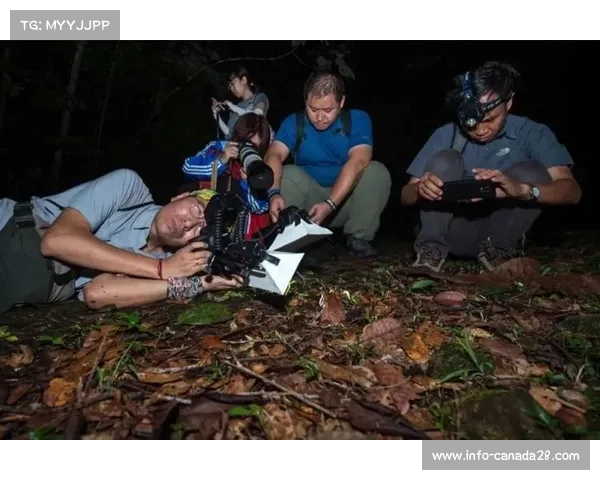 国际旅行挑战加剧倒射队伍如何提升适应时差与气候能力研究